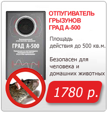 ������ �� ������������ �������� �����-� 500